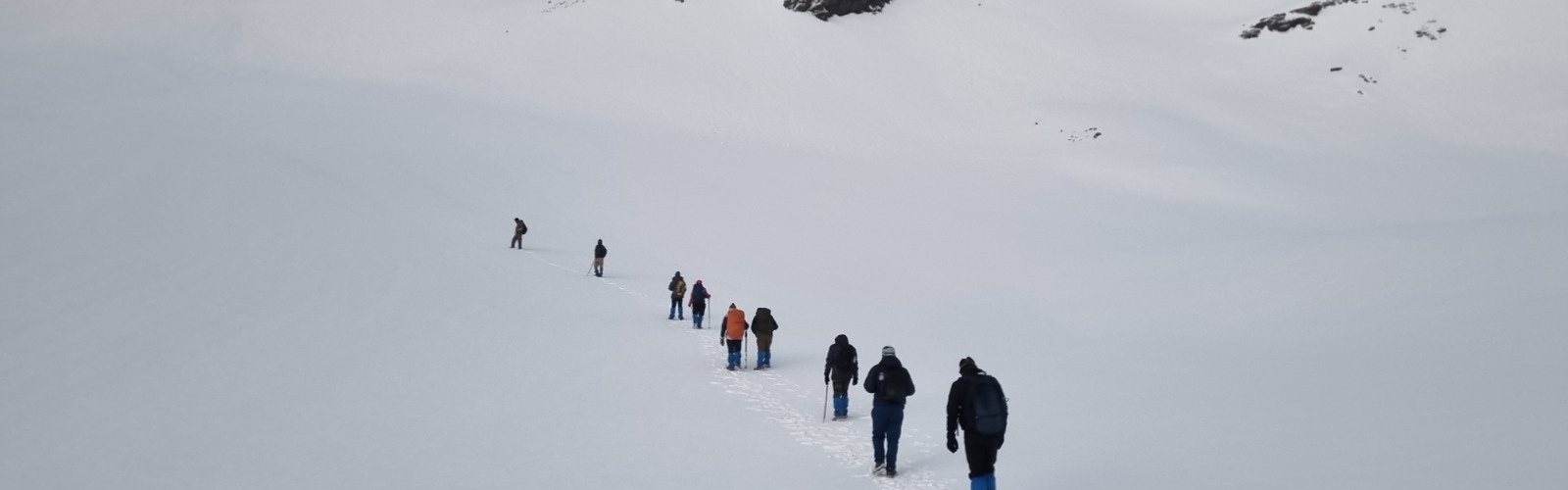 Team building corporate trek in nature with employees